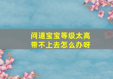 问道宝宝等级太高带不上去怎么办呀