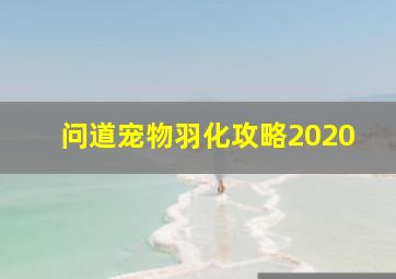 问道宠物羽化攻略2020