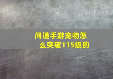 问道手游宠物怎么突破115级的