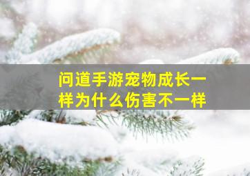 问道手游宠物成长一样为什么伤害不一样