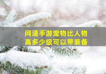 问道手游宠物比人物高多少级可以带装备