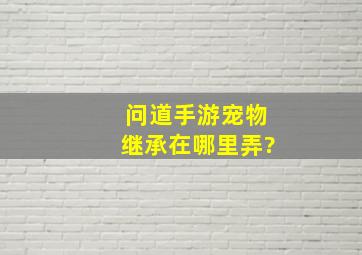 问道手游宠物继承在哪里弄?