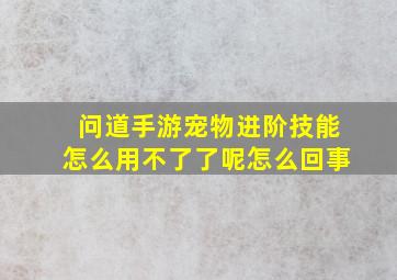 问道手游宠物进阶技能怎么用不了了呢怎么回事