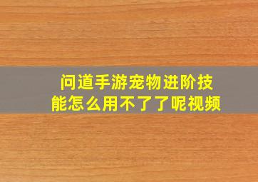 问道手游宠物进阶技能怎么用不了了呢视频