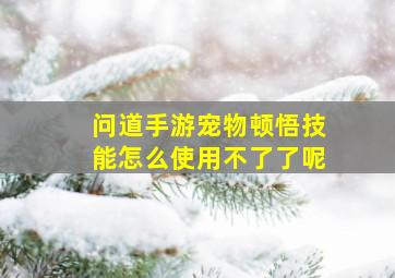 问道手游宠物顿悟技能怎么使用不了了呢