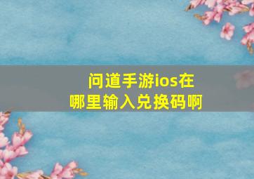 问道手游ios在哪里输入兑换码啊