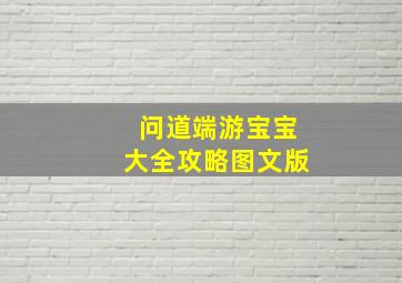 问道端游宝宝大全攻略图文版