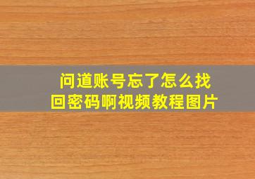 问道账号忘了怎么找回密码啊视频教程图片