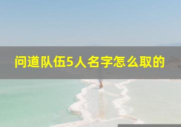 问道队伍5人名字怎么取的