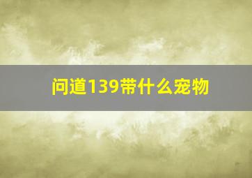 问道139带什么宠物