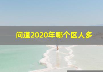 问道2020年哪个区人多