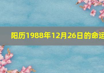 阳历1988年12月26日的命运