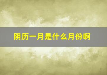 阴历一月是什么月份啊