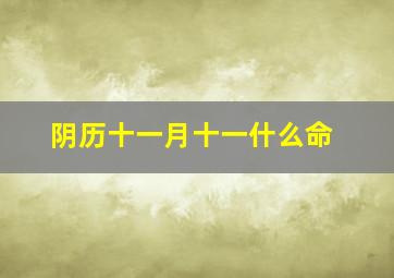 阴历十一月十一什么命