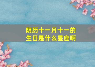 阴历十一月十一的生日是什么星座啊