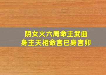 阴女火六局命主武曲身主天相命宫巳身宫卯