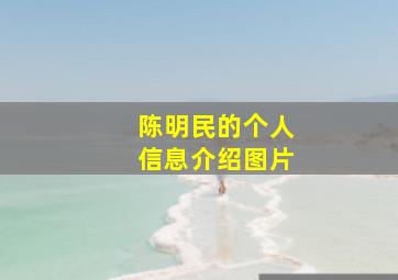 陈明民的个人信息介绍图片