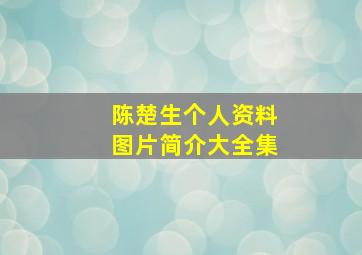 陈楚生个人资料图片简介大全集