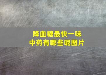 降血糖最快一味中药有哪些呢图片