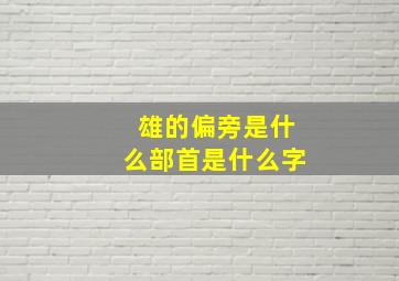 雄的偏旁是什么部首是什么字