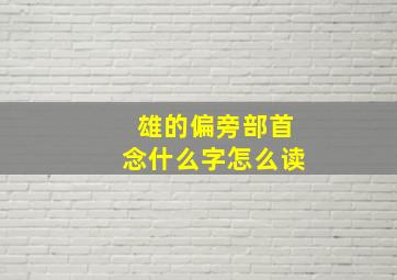 雄的偏旁部首念什么字怎么读