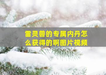 雷灵兽的专属内丹怎么获得的啊图片视频