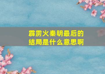 霹雳火秦明最后的结局是什么意思啊