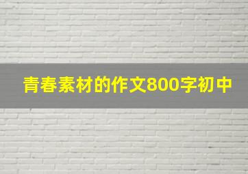 青春素材的作文800字初中