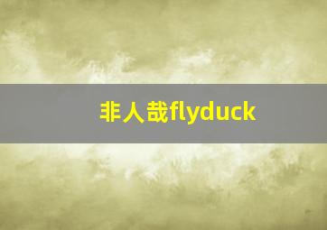 非人哉flyduck