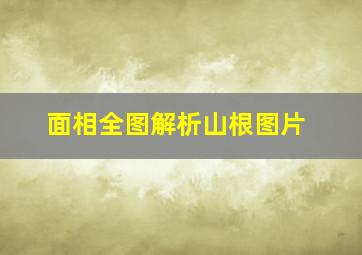 面相全图解析山根图片