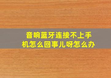 音响蓝牙连接不上手机怎么回事儿呀怎么办