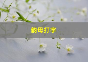 韵母打字