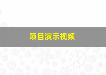 项目演示视频