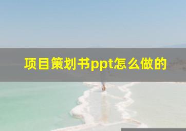 项目策划书ppt怎么做的