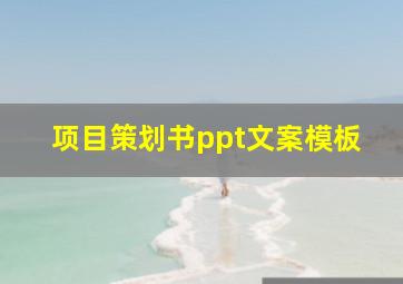 项目策划书ppt文案模板