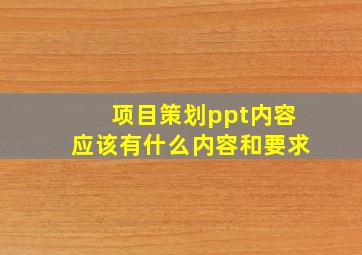 项目策划ppt内容应该有什么内容和要求