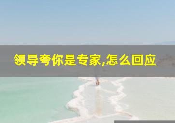 领导夸你是专家,怎么回应