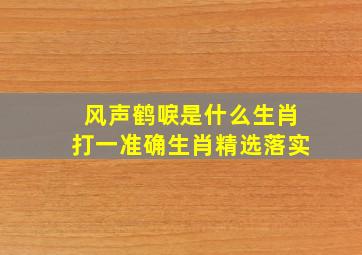 风声鹤唳是什么生肖打一准确生肖精选落实