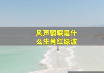 风声鹤唳是什么生肖红绿波