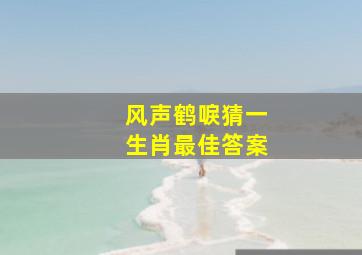 风声鹤唳猜一生肖最佳答案