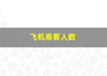 飞机乘客人数