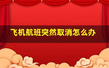 飞机航班突然取消怎么办