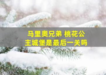 马里奥兄弟 桃花公主城堡是最后一关吗