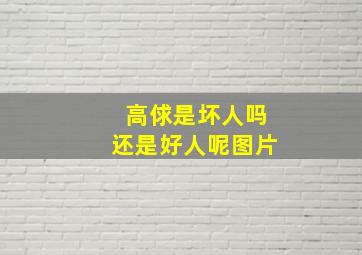 高俅是坏人吗还是好人呢图片