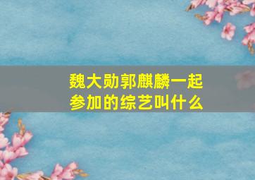 魏大勋郭麒麟一起参加的综艺叫什么