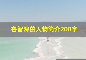 鲁智深的人物简介200字