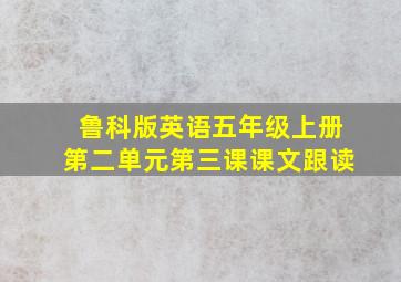 鲁科版英语五年级上册第二单元第三课课文跟读