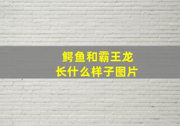 鳄鱼和霸王龙长什么样子图片