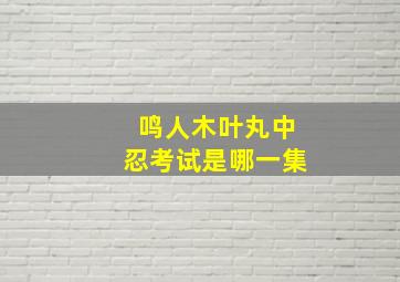 鸣人木叶丸中忍考试是哪一集