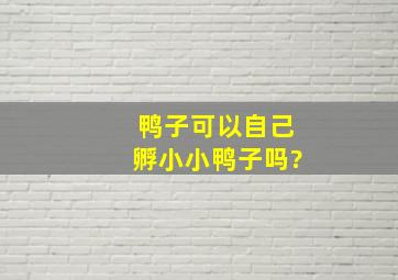 鸭子可以自己孵小小鸭子吗?